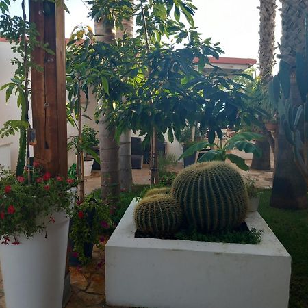 Villa Raggio Di Sole Parcheggio Privato Porto Cesareo Luaran gambar