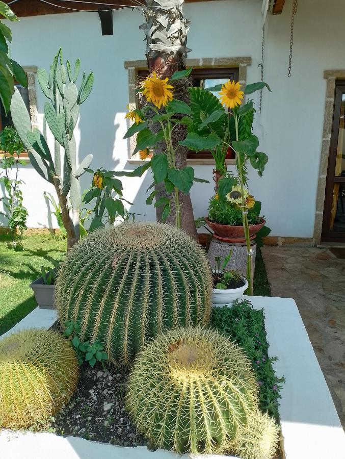 Villa Raggio Di Sole Parcheggio Privato Porto Cesareo Luaran gambar