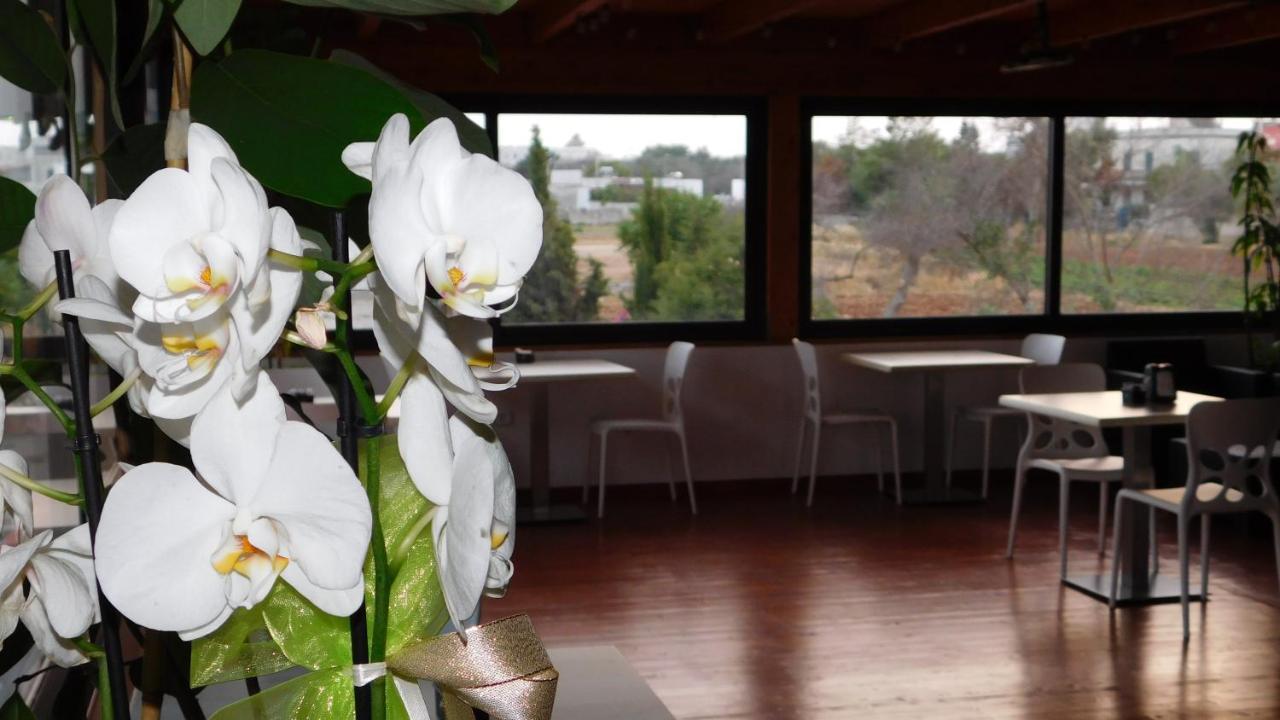 Villa Raggio Di Sole Parcheggio Privato Porto Cesareo Luaran gambar