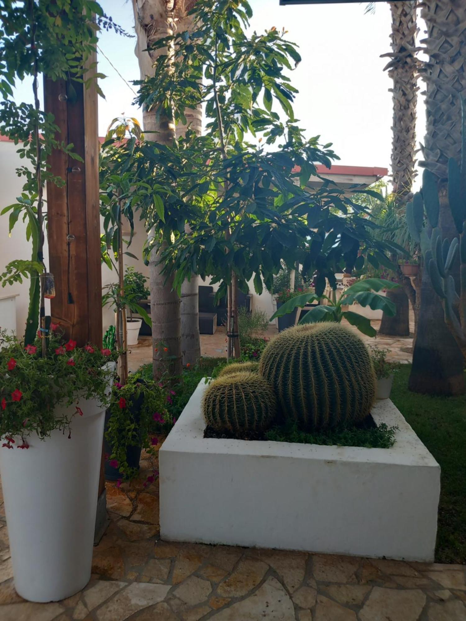 Villa Raggio Di Sole Parcheggio Privato Porto Cesareo Luaran gambar